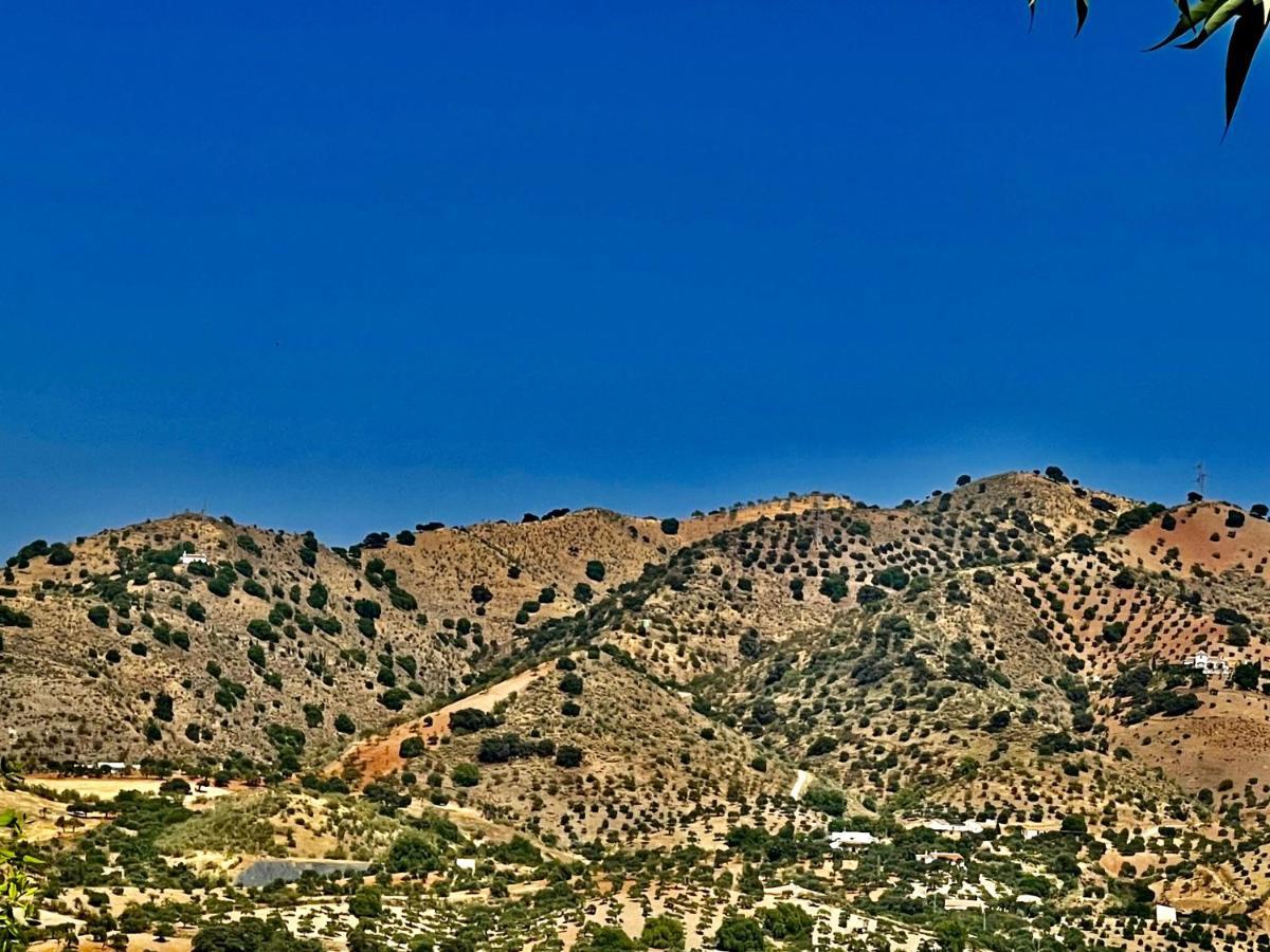 Finca Limoneros Álora Exterior foto